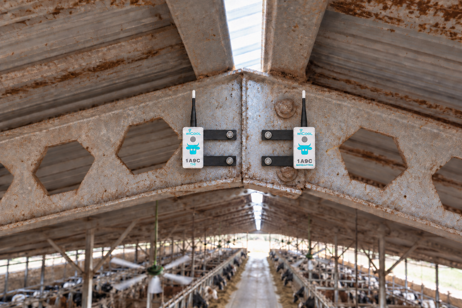 THI and barn quality sensors mounted side by side on a barn beam.