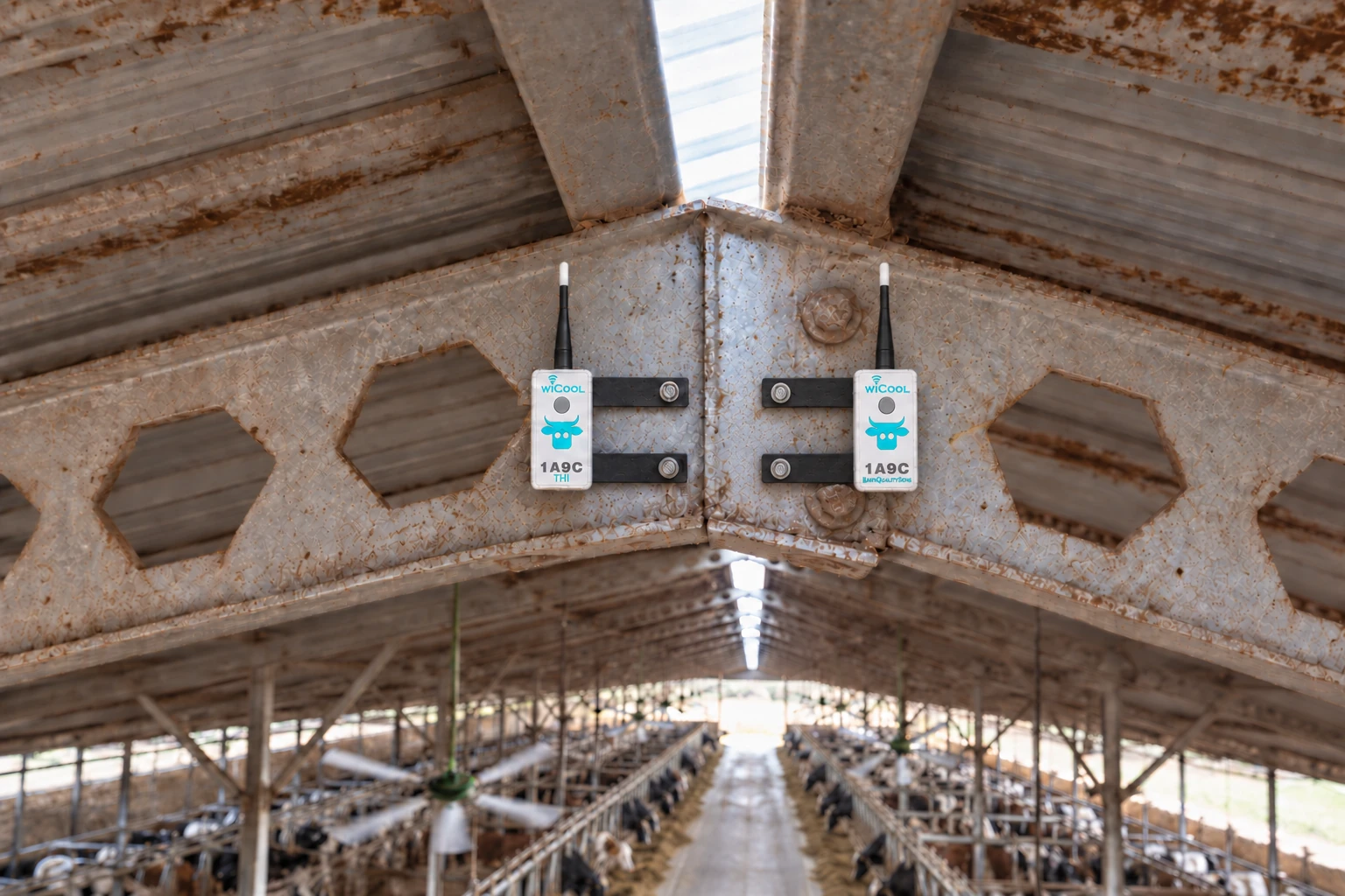 THI and barn quality sensors mounted side by side on a barn beam.