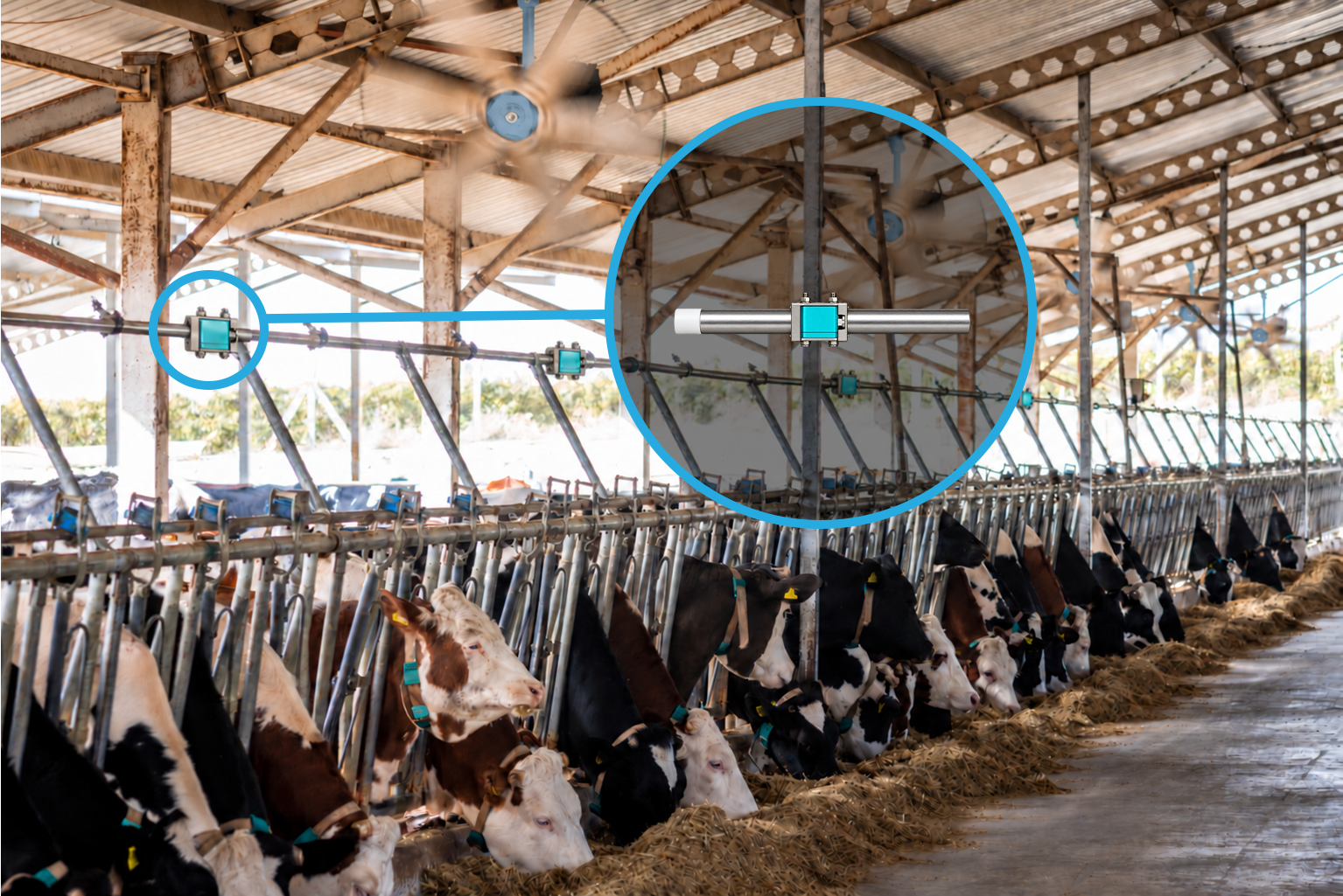 WiNozzle placement along the barn cooling line from another angle.