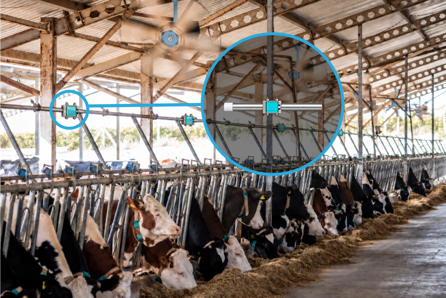 wiNozzle placement along the barn cooling line from another angle.