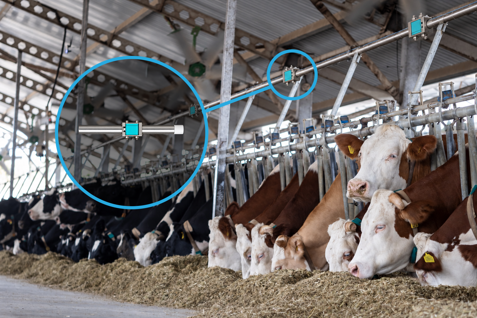 WiNozzle installed on a water line above the feeding area.