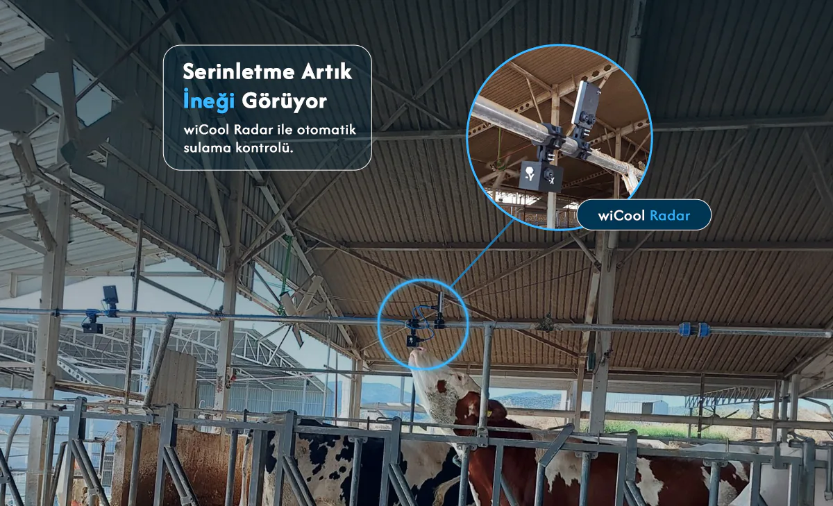 Bir süt çiftliğinde wiCool Radar otomatik yağmurlama kontrol sistemi