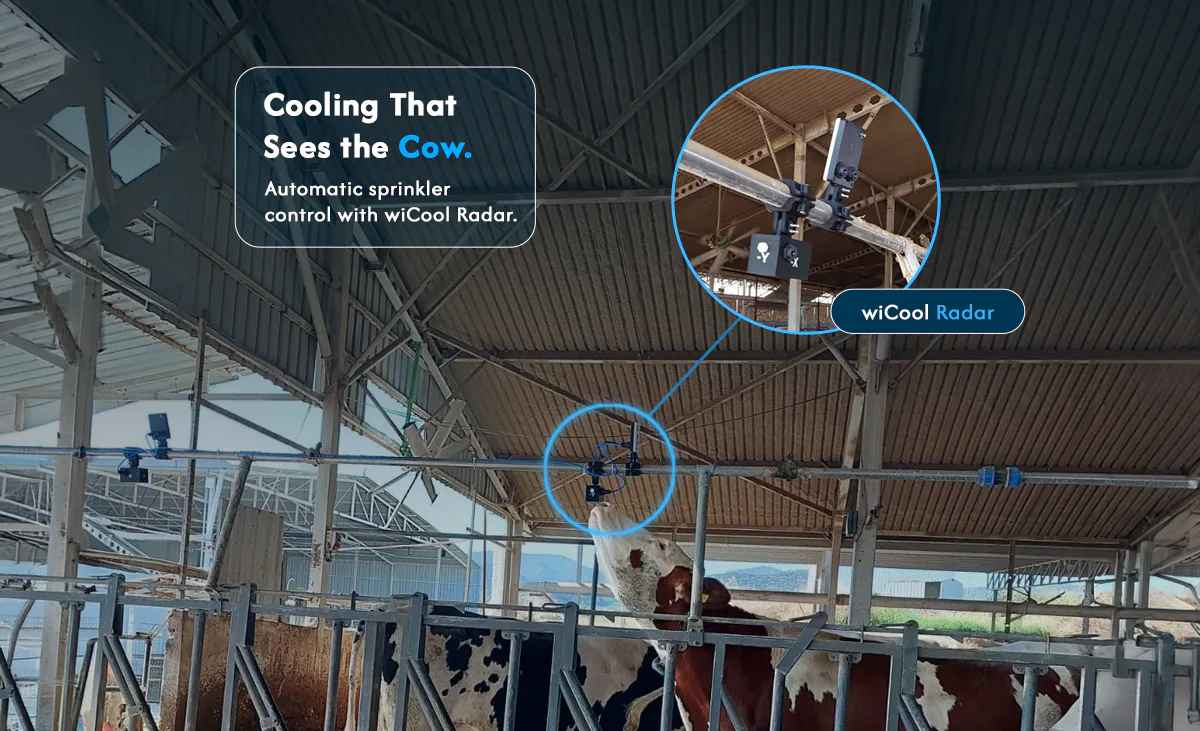 wiCool Radar automatic sprinkler control system in a dairy barn